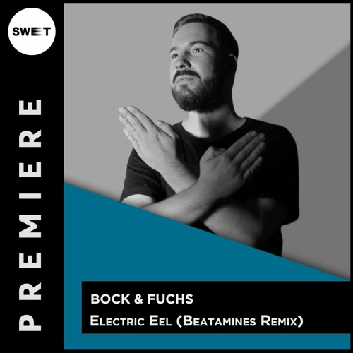 PREMIERE : Bock & Fuchs - Electric Eel (Beatamines Remix)[Mirror records]