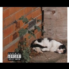 rax$tax  - wya - ft. denizzo