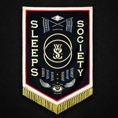 While She Sleeps -ENLIGHTENMENT(?) instrumental Cover