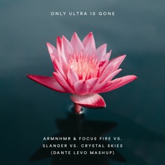 Only Ultra Is Gone - ARMNHMR & Focus Fire VS. Slander Vs. Crystal Skies (Dante Levo Mashup)