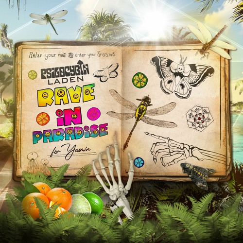Rave In Paradise (Free Download)