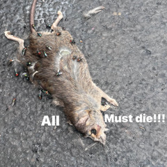 YPCKJ - NEVER DIE BROKE