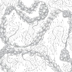 Premiere: CX - Plethora [AXS9]