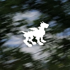 ᠃ ⚘᠂ ⚘ ˚ 𖡼 gr_ip - belonging꧁ᬊᬁ𖤍ᬊ᭄꧂