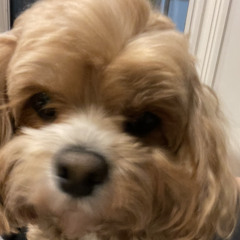 DEMO on my mind vox2=3'['.wav