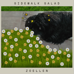 SIDEWALK SALAD