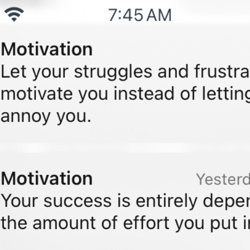 Attract That Net