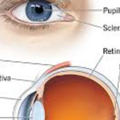 I See Her In Everything