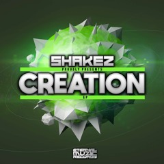 SHAKEZ - DUB VIBRATION