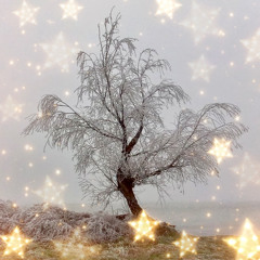 Wintertime (Remix 2025)