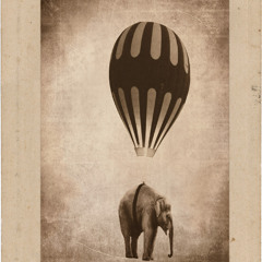 Flying Elephant Swing