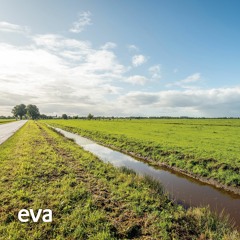 Meditatie in de weilanden