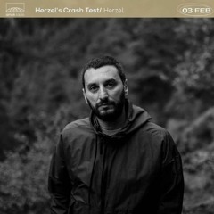 Herzel's Crash Test