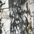 Artwork for Sibelius: Violin Concerto for Jazz Piano Trio ( for Piano, Synthesizer, Contrabass and Drum)