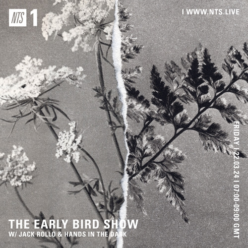 The Early Bird Show (w/ Jack Rollo & Hands In The Dark)