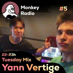 Yann Vertige - Live Monkey Radio #5 (Afro & Melodic House Mix)