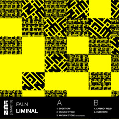 PREMIERE: FALN - Ever Here [ZIMA010]