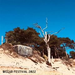 Sassafras Tree @ Welur Festival 2022 | Hel