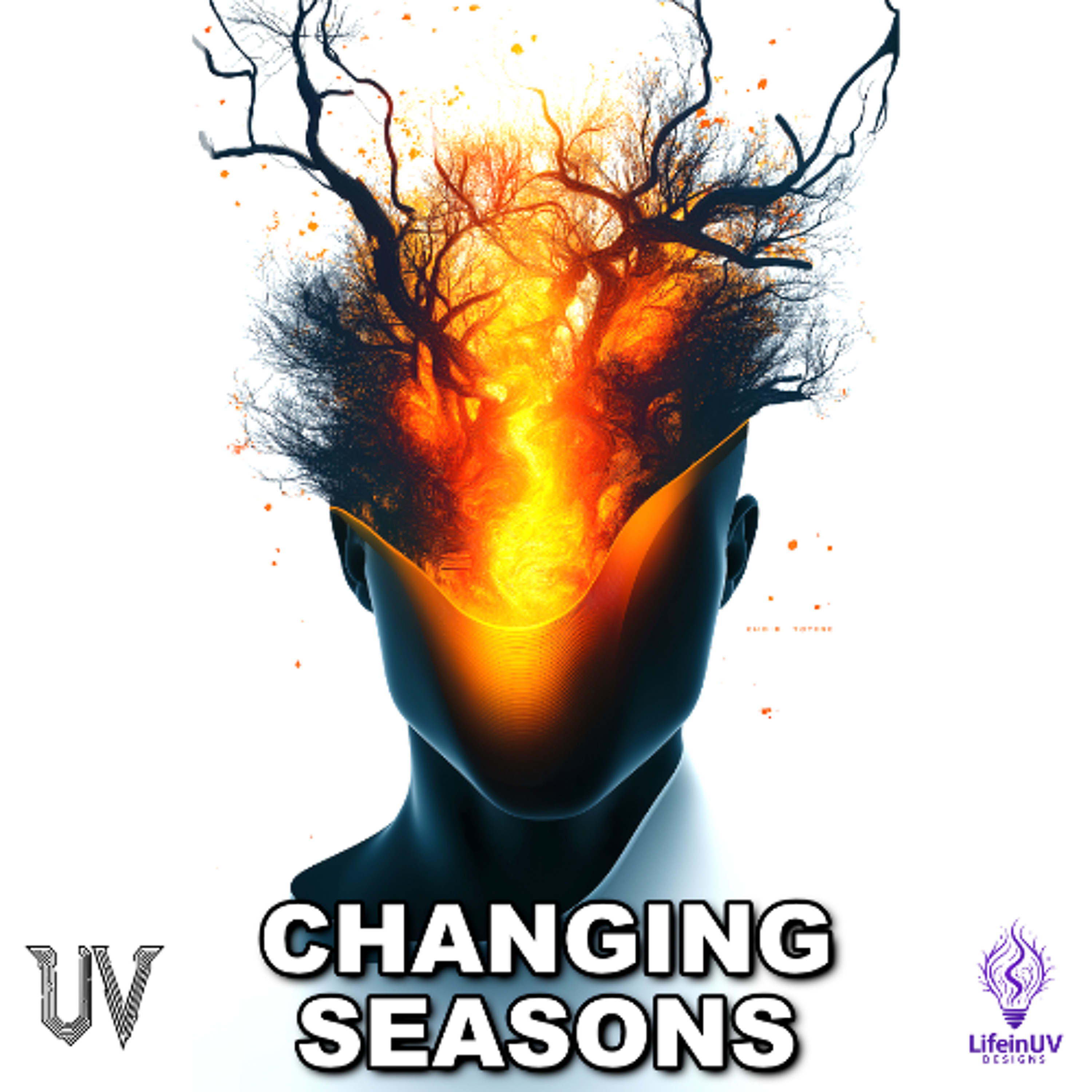 Changing Seasons (Liquid Mix) episode artwork