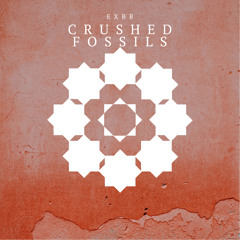 CRUSHED FOSSILS