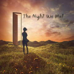 The Night We Met
