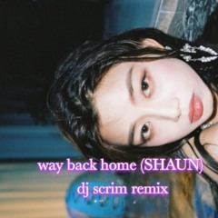 dj scrim remix - (SHAUN) - Way Back Home