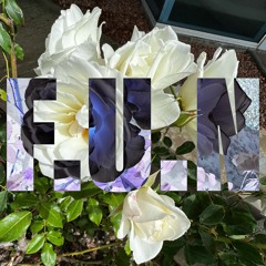 destroy lonely - F.U.N ft me (slowed+reverb)