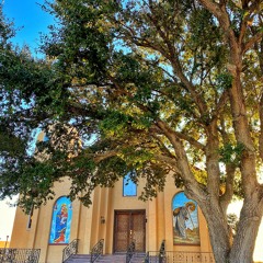 St. Mary & St. Moses abbey Texas