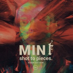 MIN t Shot To Pieces