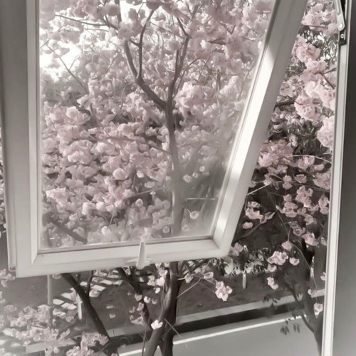 escape ft neohn (ajay + rewind)