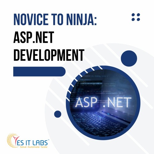 Novice to Ninja: ASP.NET Development