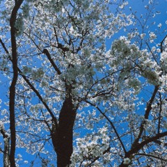 0329 2025 edited