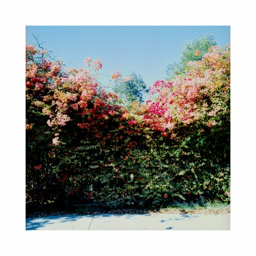 sunflwr -  what i remember of san francisco
