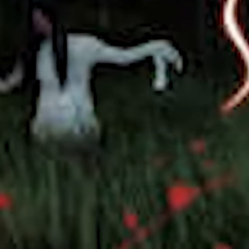 fields prod me