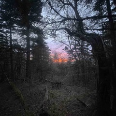 Scottish Tartans Museum