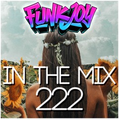 funkjoy - In The Mix 222