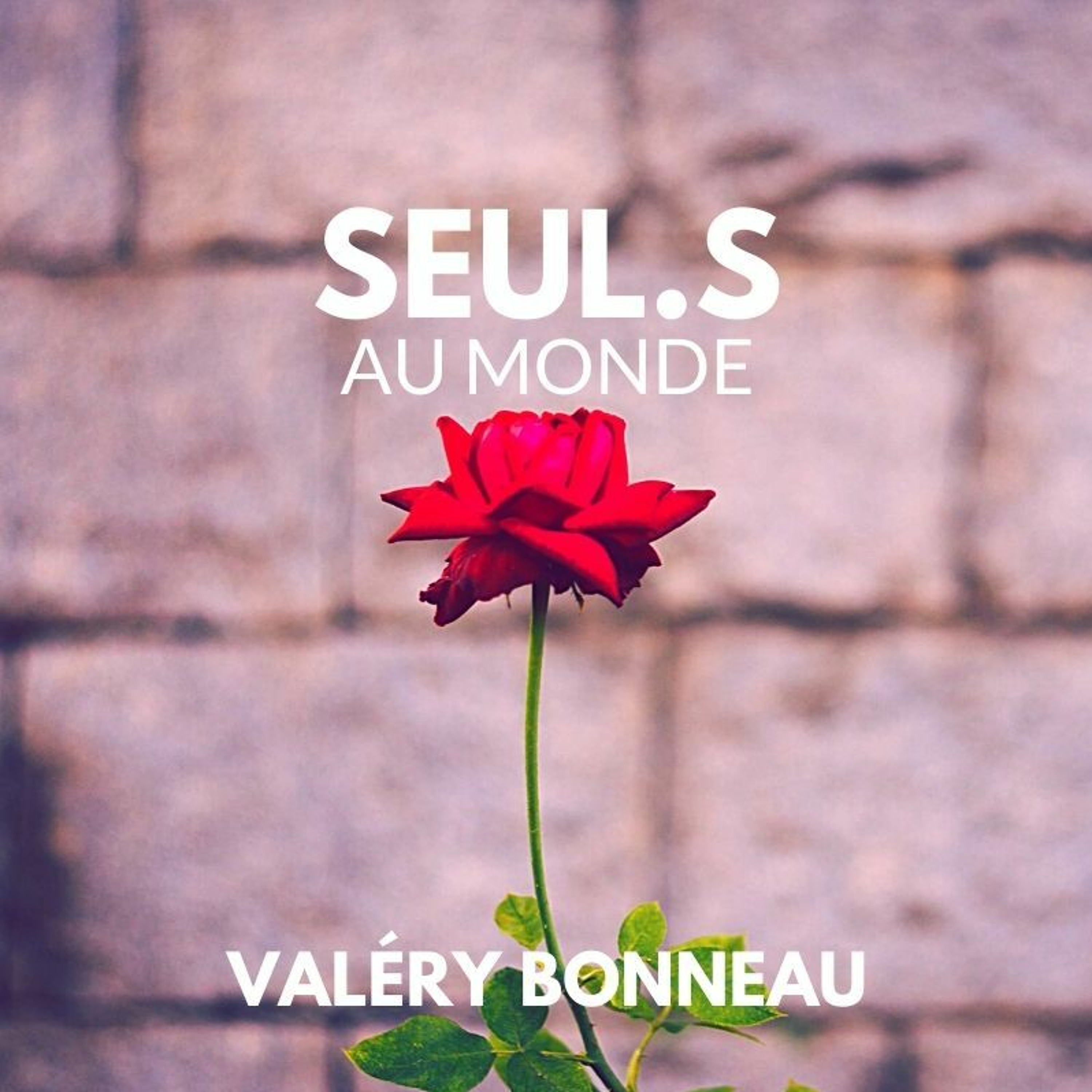 Livre Audio - Nouvelles Noires