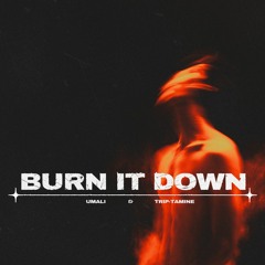 Burn it Down- Trip-Tamine & Umali ★FREE DOWNLOAD★