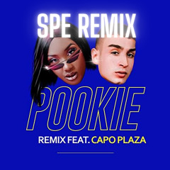 Aya Nakamura feat. Capo Plaza - Pookie (SPE Moombahton Remix) FILTERED