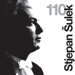 Franz Schubert: Simfonija Br. 5 U B - Duru, Allegro / Symphony No. 5 In B-Flat Major, D. 485, Allegro