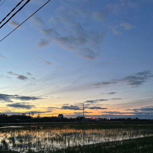 Đường Tôi Chở Em Về Remix 🚲