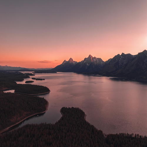 Fyze - Crave (Radio Edit) [Out on Spotify right now!!]