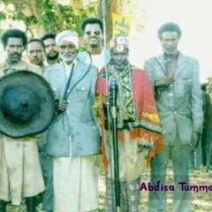 Dhiibbaa Amantiilee biroon Aadaa, Duudhaa fi Amantii Oromoo irratti taasise.aac