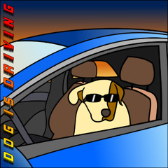 Dog Is Driving