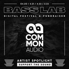 Bass Lab Digital Festival 2020 Mix - OBQ - Common Audio