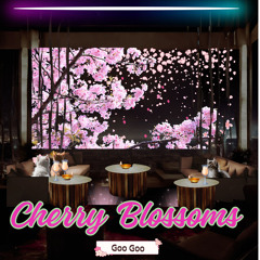 Cherry Blossoms