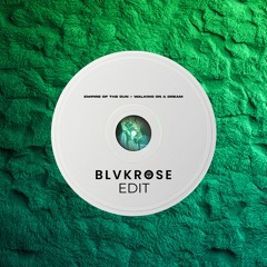 Empire Of The Sun - Walking On A Dream (Blvkrose Edit)