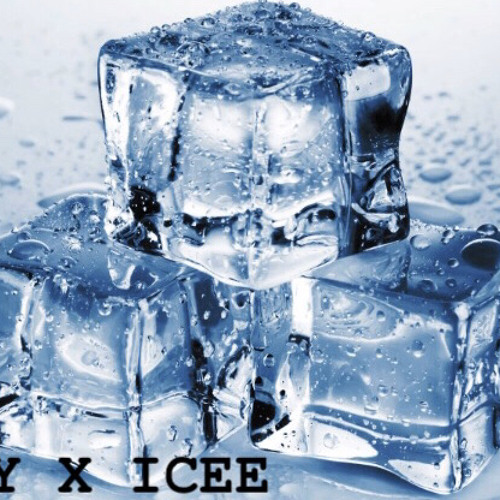 FlyGuy X ICEE