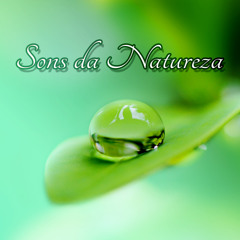 Sons da Natureza