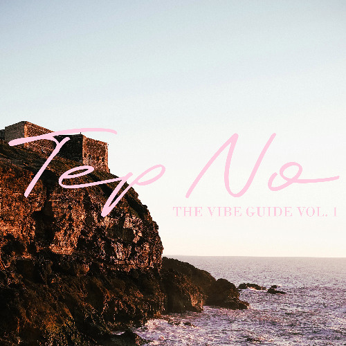 Tep No - Did Everything I Could